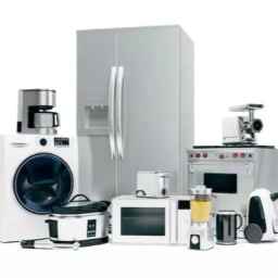 Sale of Marzieh Jafari household appliances in Ganaveh port