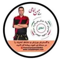 Private martial arts and personal defense training of Professor Hassan Emami in Islamshahr