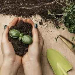 Khodabakhsh Horticultural and agricultural services, implementation of plowing and spraying irrigation services in Qazvin