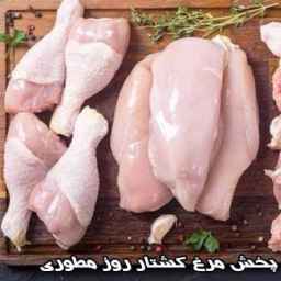 Broadcasting of slaughtered chickens in Khorramshahr