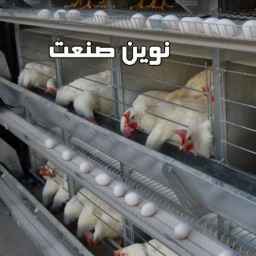 Navin Sanat, poultry equipment and greenhouse in Qazvin
