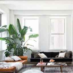 Savis Decor implementation of all interior decoration services in Alborz