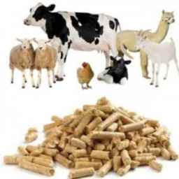 Fakhari livestock feed, sale of all kinds of livestock and poultry inputs in Malair Hamadan
