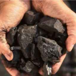Hamid coal production in Minab