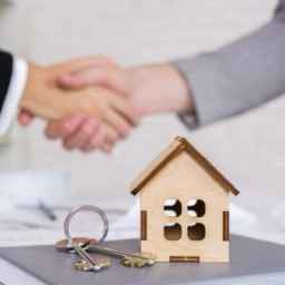 Real estate consultant, buying and selling property in Shiraz