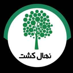 Production and sale of transplanted seedlings by Engineer Amir Nasrati in Miandoab