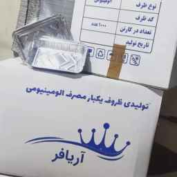 Ariafar, the production of disposable containers in Zarand