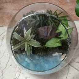 Star Planet produces all kinds of terrariums in the paludarium glass garden planetarium in Tehran