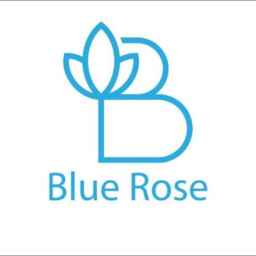 Blue rose sleeping bag, production of medical and spring sleeping bag in Arak