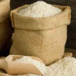 Mirai rice, selling Fajr Hashemi Tarem rice in Gilan