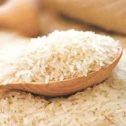 Northern rice sells Hashemi Tarem rice in Qaemshahr