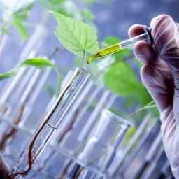Mohammadi herbal medicine pharmacy in Urmia