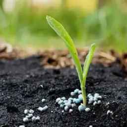 Zare store, wholesale sale of organic animal manure and chemical fertilizer in Tehran