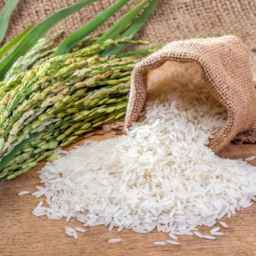 Small rice, selling smoked Hashmi rice in Khammam, Gilan