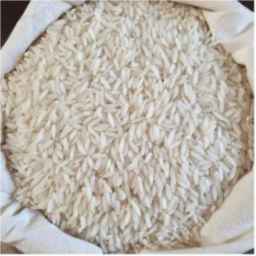 Ibrahimpur rice, selling Tarem Hashemi rice in Lahijan