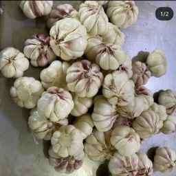 Hadi Goli garlic and onion production, hot and frozen garlic and onion producer in Hamedan