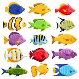 Khurshid Silk Kashan Aquaculture Company, producer of special ornamental fish and goldfish