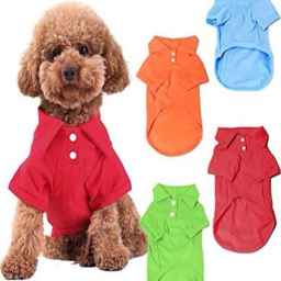 Pudi Pet, sewing pet clothes and pets in East Azerbaijan