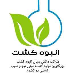 Isfahan mass cultivation company, production and sale of potatoes and potato seeds in Isfahan