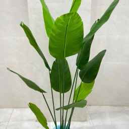 Fars Gol Sharaft, wholesale and retail distribution of artificial flowers and grass in Shiraz