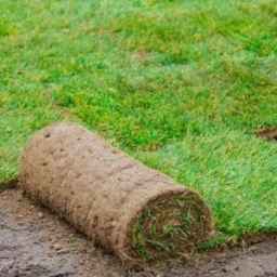 Pirzadi roll grass, production of natural roll grass and implementation of green spaces in Karaj