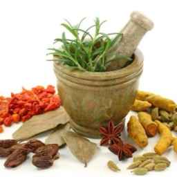 Sina Medicinal Plants, wholesale sale and export of medicinal plants in Kurdistan