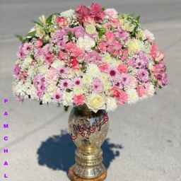 Primrose Garden, sale of all kinds of natural and artificial flowers in Gachsaran Kohgilouye