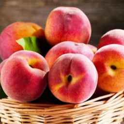 Bibi Fruit, fruit and vegetable export in Sari