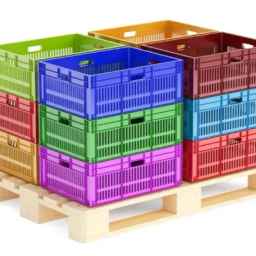 Plastic oysters, production and sale of fruit baskets in East Azerbaijan