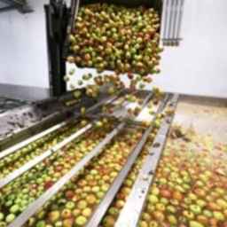 Plus brand, supplying food and agriculture industries in Tehran