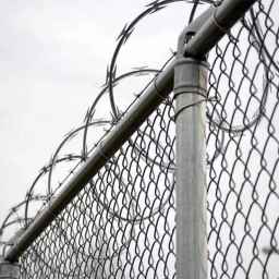 Shiraz Mafool, production and sale of barbed wire fences and rabbits in Fars