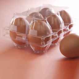 Honor Shop, Sale of Egg Packing Containers in Tehran