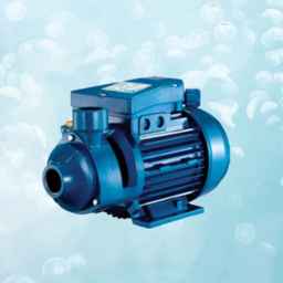 Energy service store, sale of electromotor pumps and diaphragm pumps in Tehran