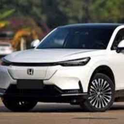 Najafi's exclusive dealership of electric cars