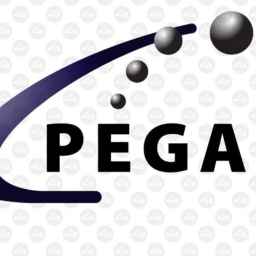 Pergas Co