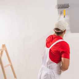 Ferdis building painting