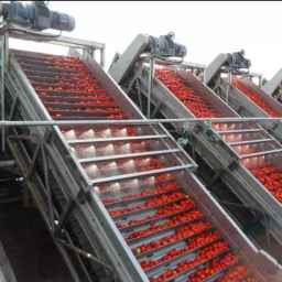 Machine process