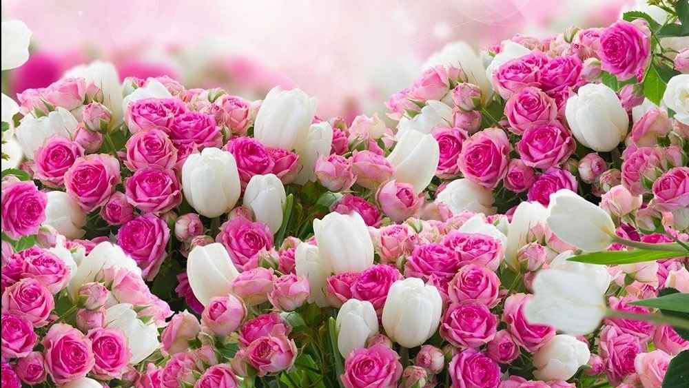 Special discount for Valentine's Day
