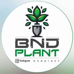 BNDPlant