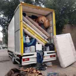 Zardoi shipping