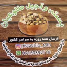 Toloian dried fruit