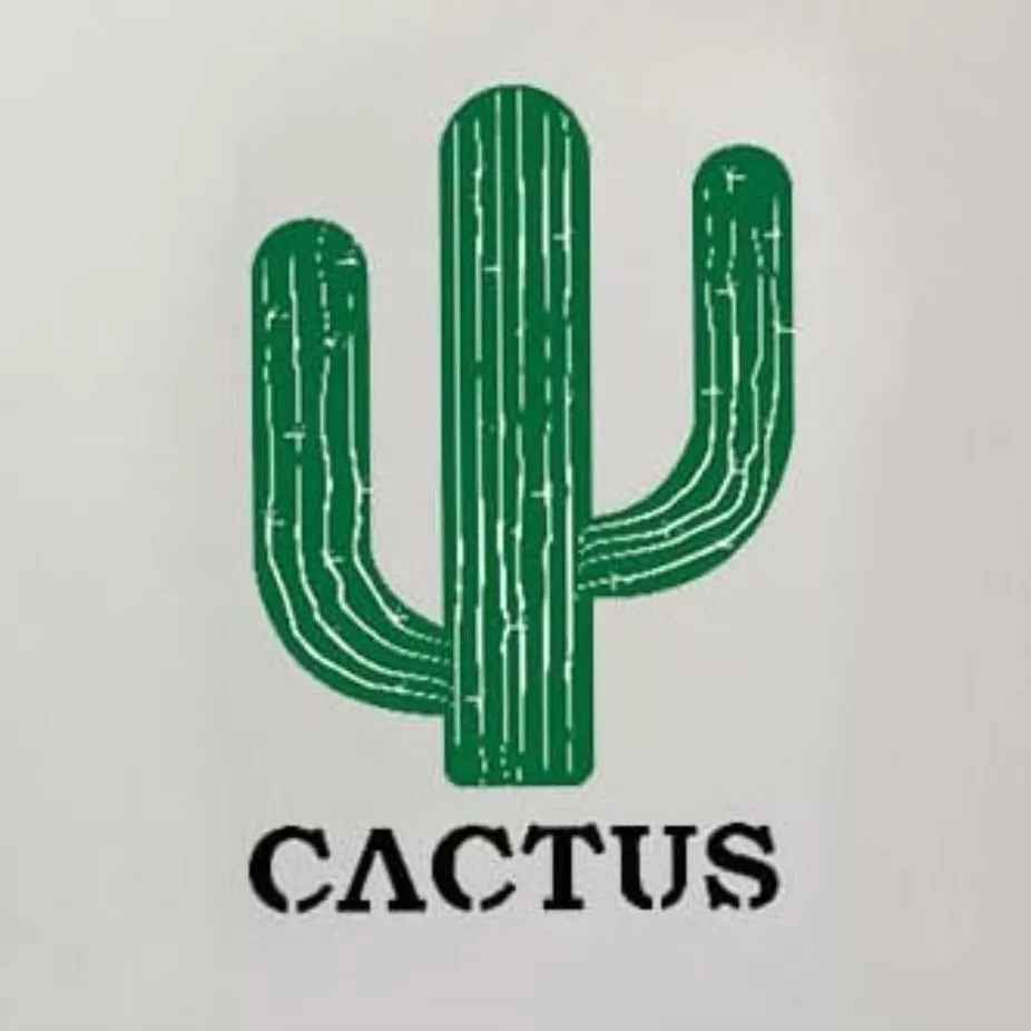 Cactus cabinet vanity
