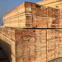 Mousavi Pallet