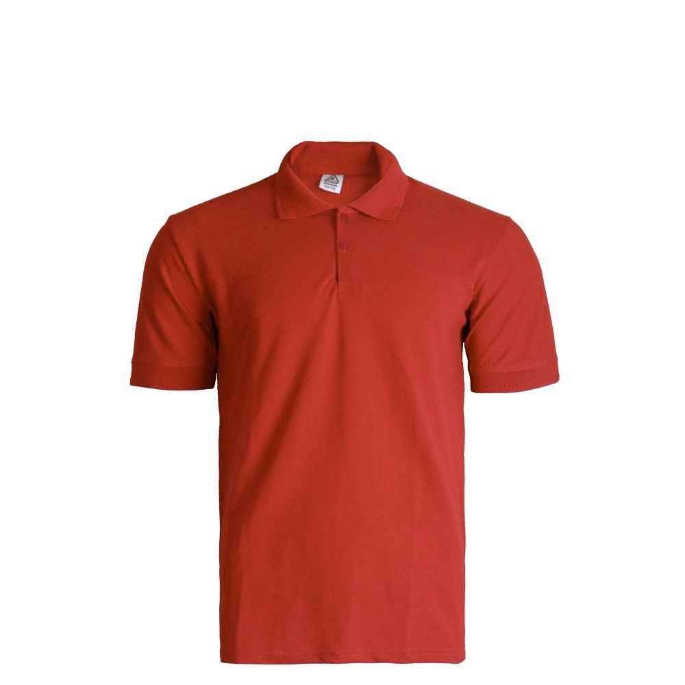 Types of T -shirts with printing and logo