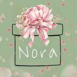 Nora Gift Shop