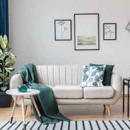 Rasha furniture