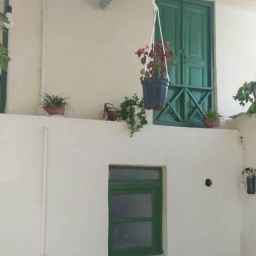 Moradi'nin ekosistemi