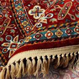 Carpet Exhibition