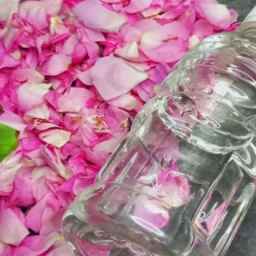 Azerbaijan Home Rose
