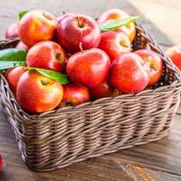 Apple Trading